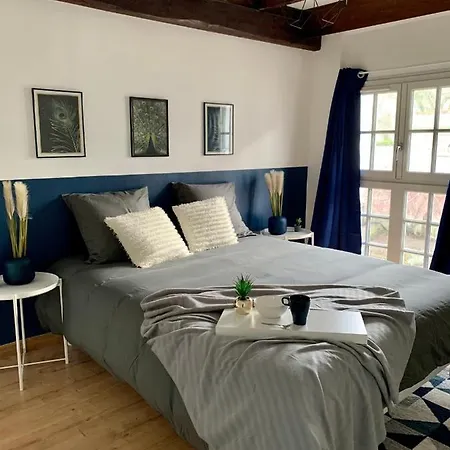 Les Bleuets - Centre De דירה סומור