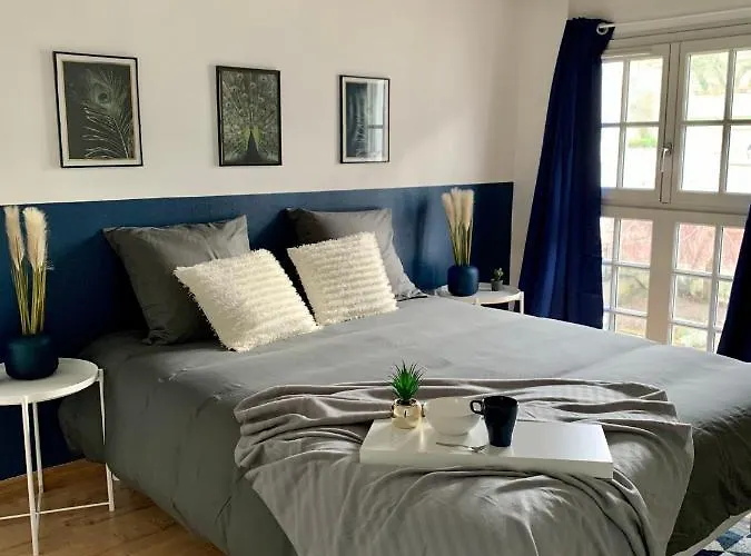 Les Bleuets - Centre De Lägenhet Saumur